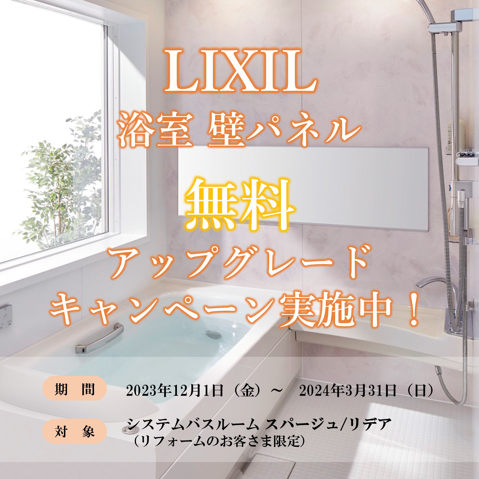 キャンペーン